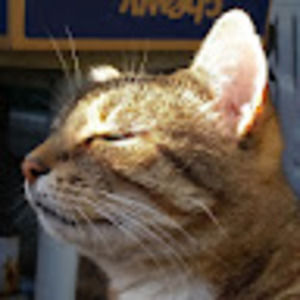 Meet your Posher, Firoz